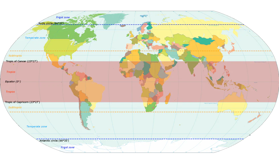 THE COFFEE BELT. WHERE IS COFFEE GROWN?